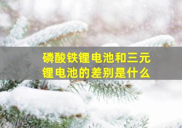 磷酸铁锂电池和三元锂电池的差别是什么