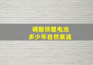 磷酸铁锂电池多少年自然衰减