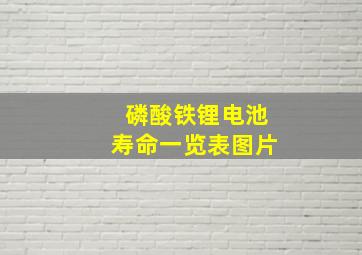 磷酸铁锂电池寿命一览表图片