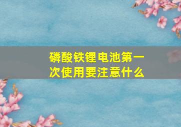 磷酸铁锂电池第一次使用要注意什么