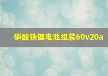 磷酸铁锂电池组装60v20a