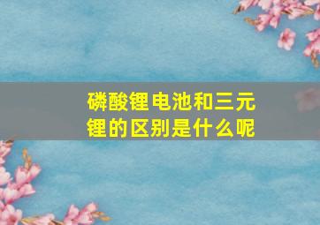 磷酸锂电池和三元锂的区别是什么呢