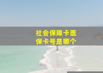 社会保障卡医保卡号是哪个