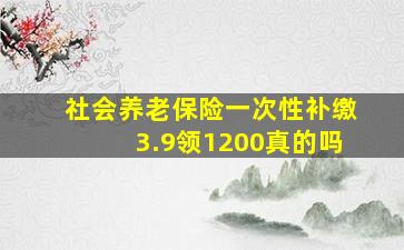 社会养老保险一次性补缴3.9领1200真的吗