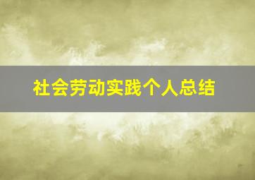 社会劳动实践个人总结