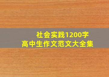 社会实践1200字高中生作文范文大全集