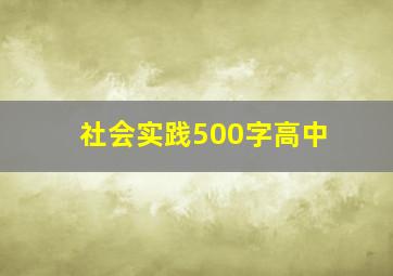 社会实践500字高中