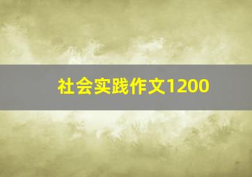 社会实践作文1200