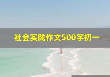 社会实践作文500字初一