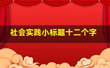 社会实践小标题十二个字