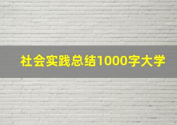 社会实践总结1000字大学