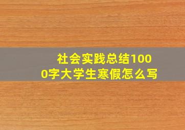 社会实践总结1000字大学生寒假怎么写