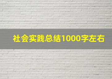 社会实践总结1000字左右