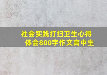 社会实践打扫卫生心得体会800字作文高中生