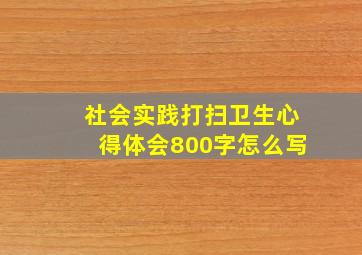 社会实践打扫卫生心得体会800字怎么写