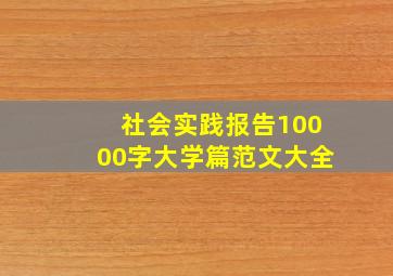 社会实践报告10000字大学篇范文大全