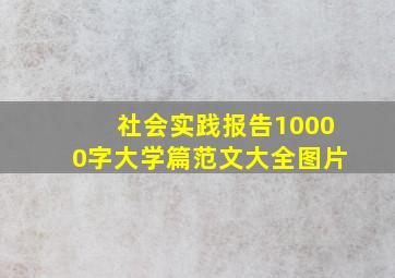 社会实践报告10000字大学篇范文大全图片