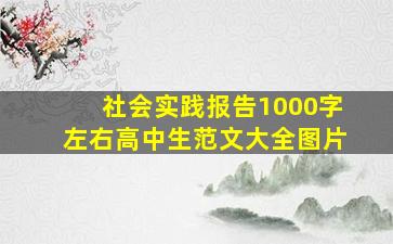 社会实践报告1000字左右高中生范文大全图片