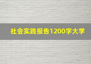 社会实践报告1200字大学