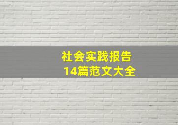 社会实践报告14篇范文大全