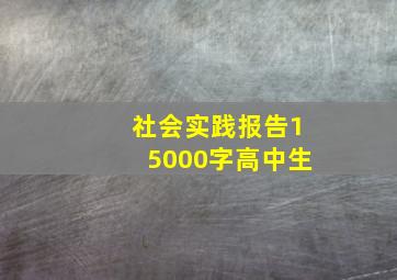 社会实践报告15000字高中生