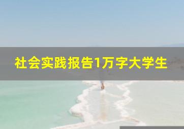 社会实践报告1万字大学生