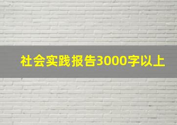 社会实践报告3000字以上