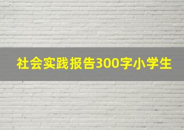 社会实践报告300字小学生