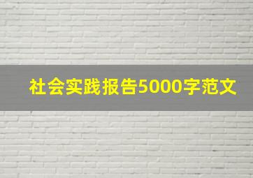 社会实践报告5000字范文