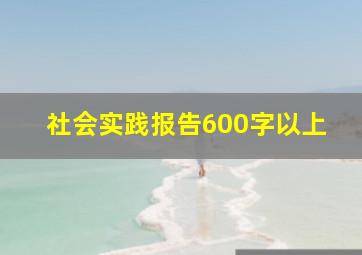 社会实践报告600字以上