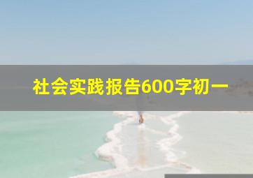 社会实践报告600字初一