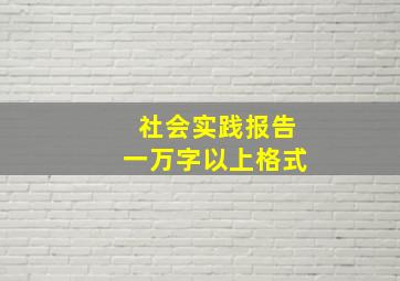 社会实践报告一万字以上格式