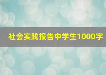 社会实践报告中学生1000字