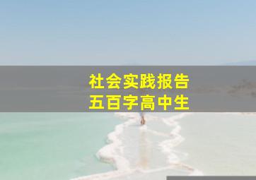 社会实践报告五百字高中生