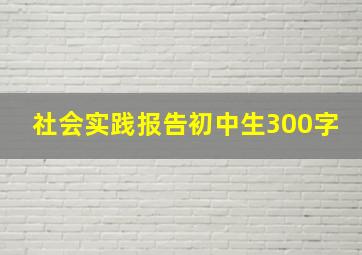 社会实践报告初中生300字