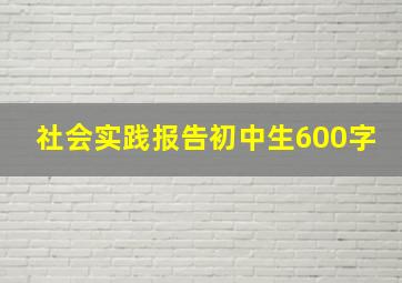 社会实践报告初中生600字