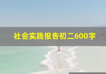 社会实践报告初二600字