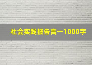 社会实践报告高一1000字