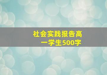 社会实践报告高一学生500字