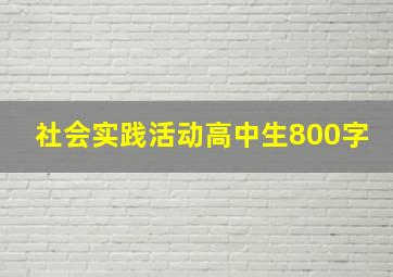 社会实践活动高中生800字