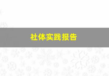 社体实践报告