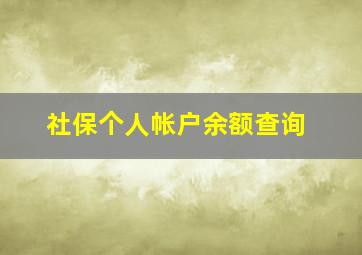 社保个人帐户余额查询