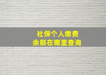 社保个人缴费余额在哪里查询