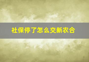 社保停了怎么交新农合