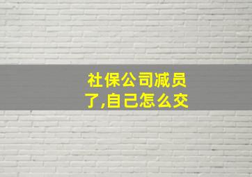 社保公司减员了,自己怎么交