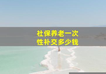 社保养老一次性补交多少钱