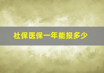 社保医保一年能报多少