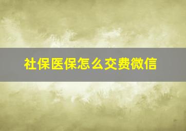 社保医保怎么交费微信