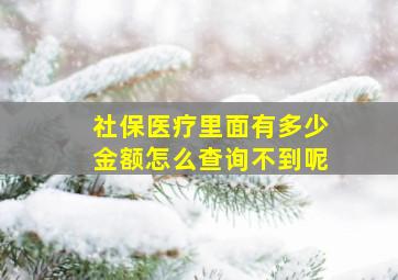 社保医疗里面有多少金额怎么查询不到呢