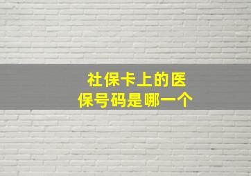 社保卡上的医保号码是哪一个